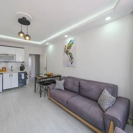 Tatil Premium Cozy 아파트 페티예